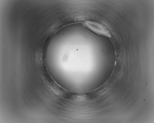 X0000073870548200608101109