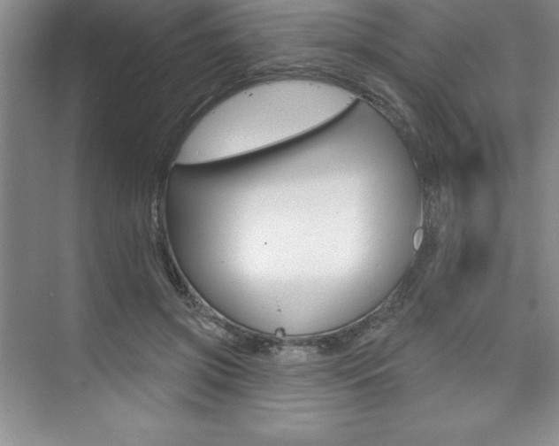 X0000073870549200608101109