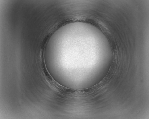 X0000073870550200608101110