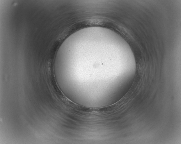 X0000073870551200608101110