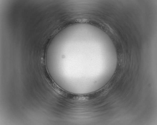 X0000073870553200608101110