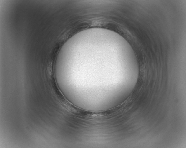 X0000073870554200608101110