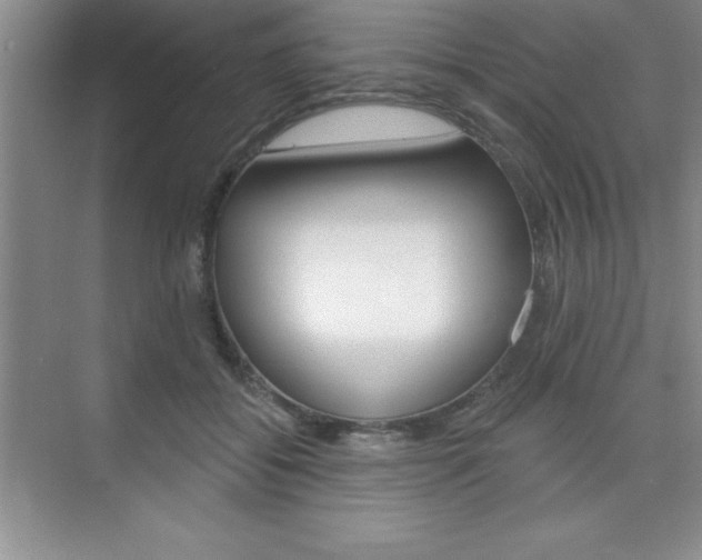 X0000073870556200608101110