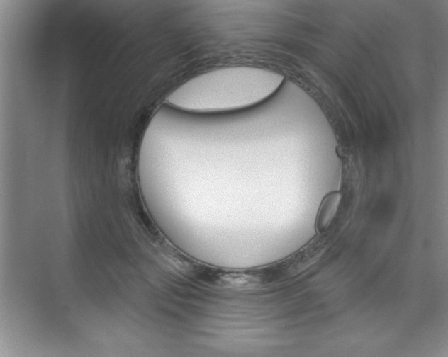 X0000073870557200608101110