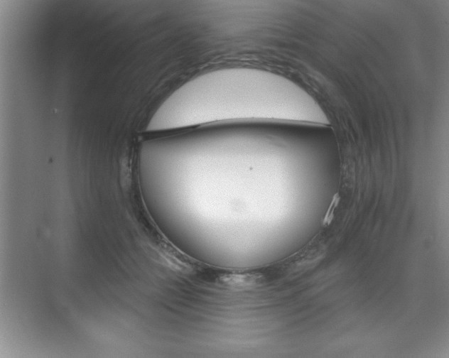 X0000073870558200608101110