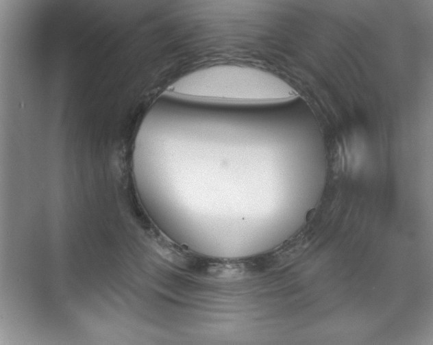 X0000073870559200608101110