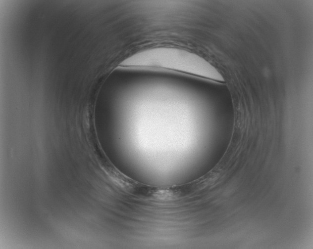 X0000073870562200608101110