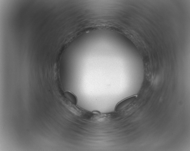 X0000073870563200608101110