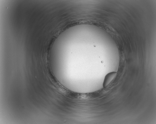 X0000073870565200608101110