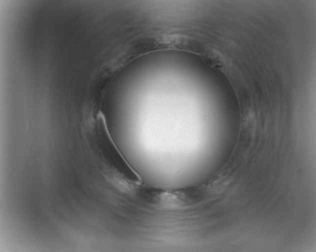 X0000073870566200608101110