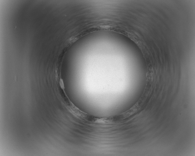 X0000073870568200608101110