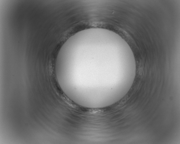 X0000073870569200608101110