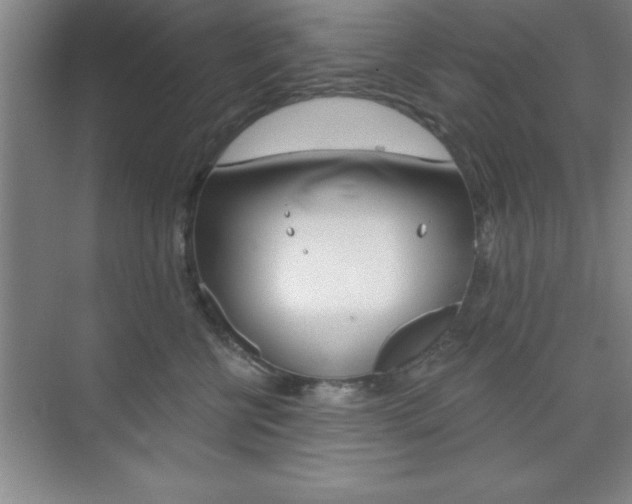 X0000073870570200608101110