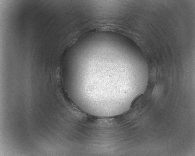 X0000073870571200608101110