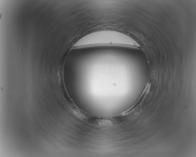 X0000073870572200608101110