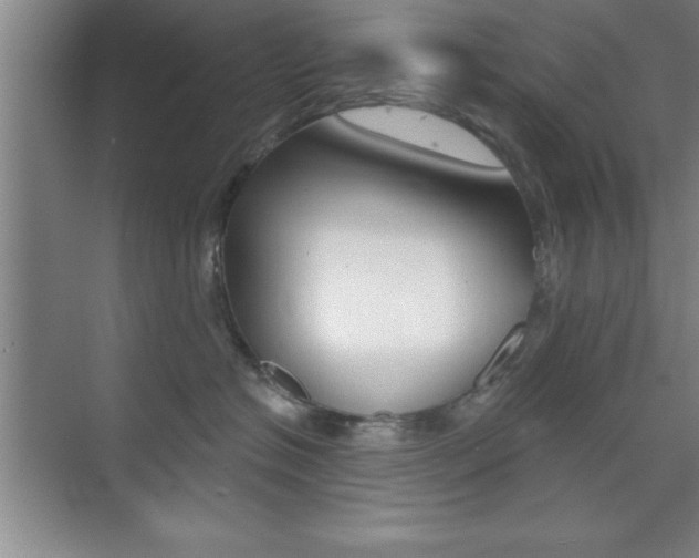 X0000073870574200608101110