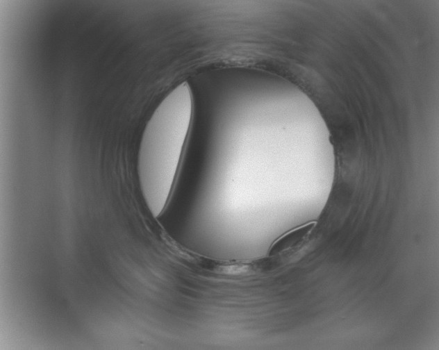 X0000073870575200608101110