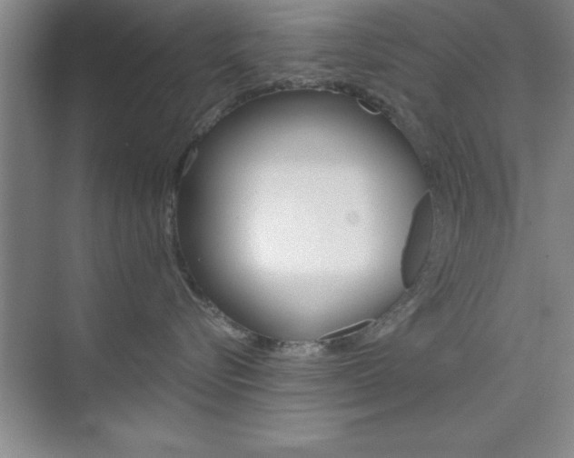 X0000073870576200608101110