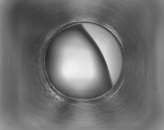 X0000073870577200608101109