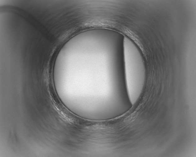 X0000073870578200608101109