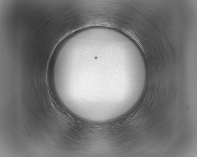 X0000073870579200608101109