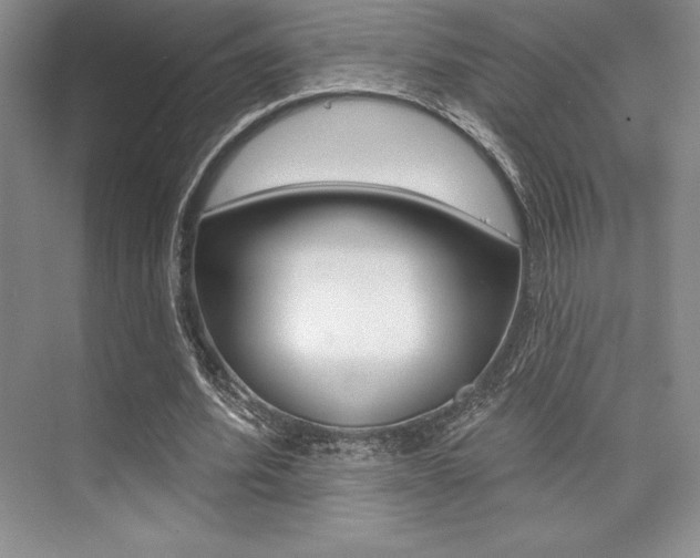 X0000073870580200608101109