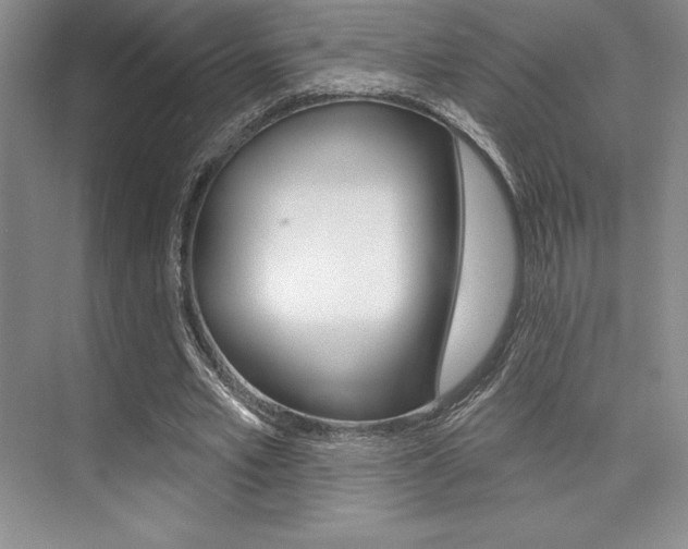 X0000073870581200608101109