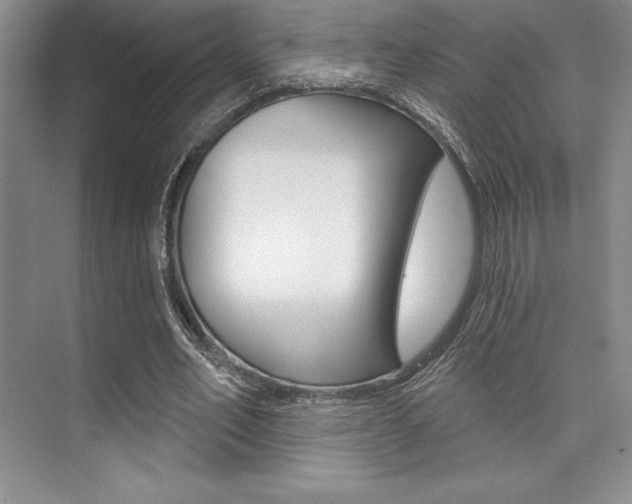 X0000073870582200608101109