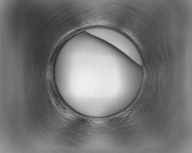 X0000073870583200608101109