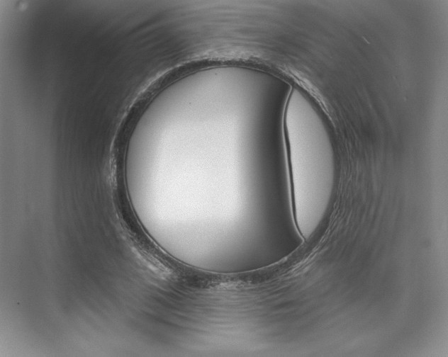 X0000073870584200608101109