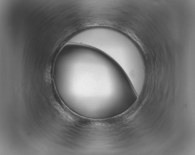 X0000073870585200608101109