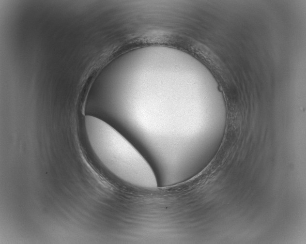 X0000073870586200608101109