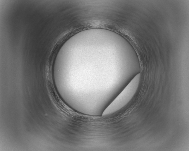 X0000073870587200608101109