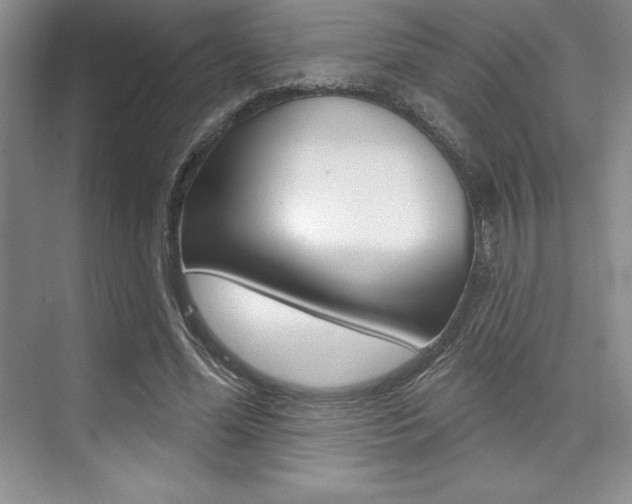 X0000073870588200608101109