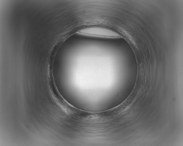 X0000073870589200608101109