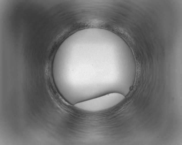 X0000073870591200608101109