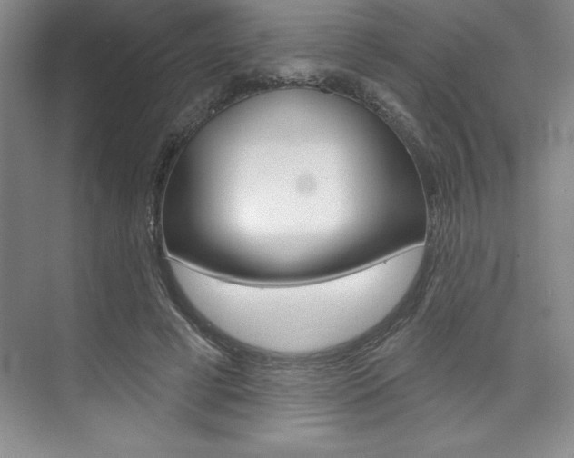 X0000073870593200608101109