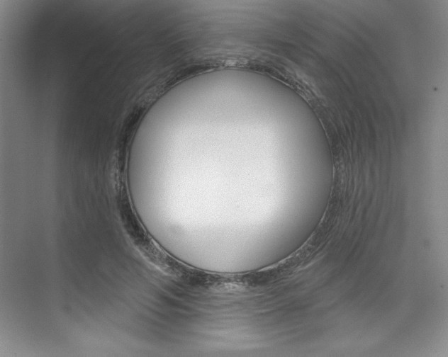 X0000073870594200608101109