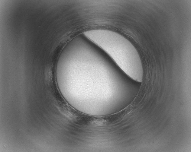 X0000073870595200608101109