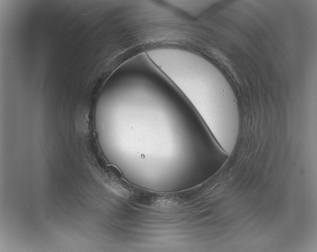 X0000073870596200608101109