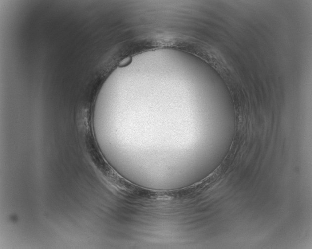 X0000073870598200608101109