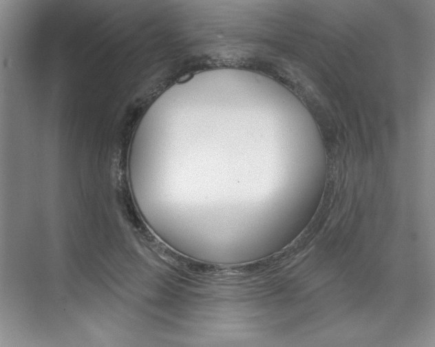 X0000073870599200608101109