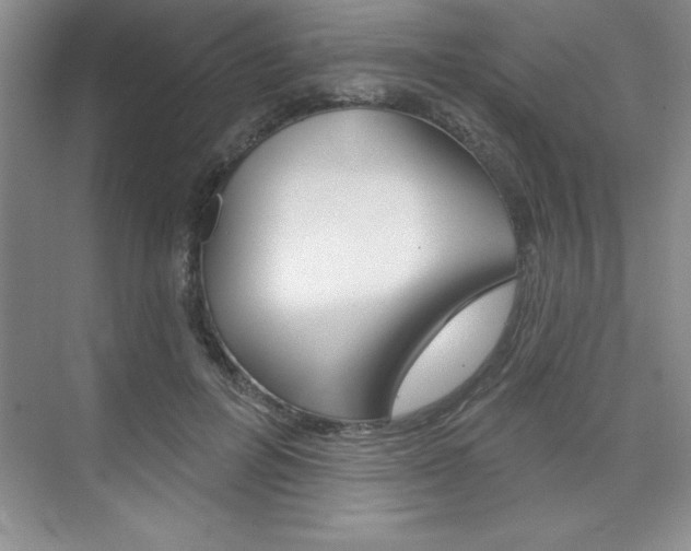 X0000073870600200608101109