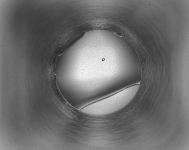 X0000073870601200608101109