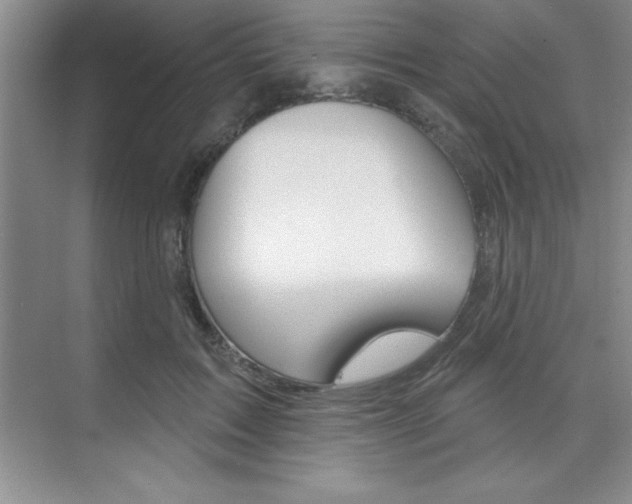 X0000073870603200608101109