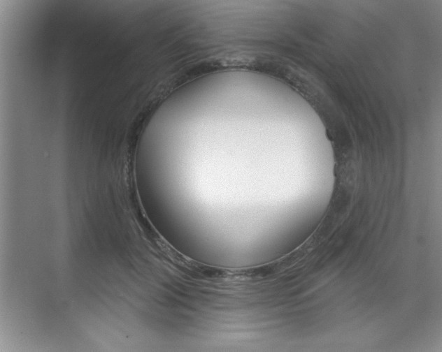 X0000073870604200608101109