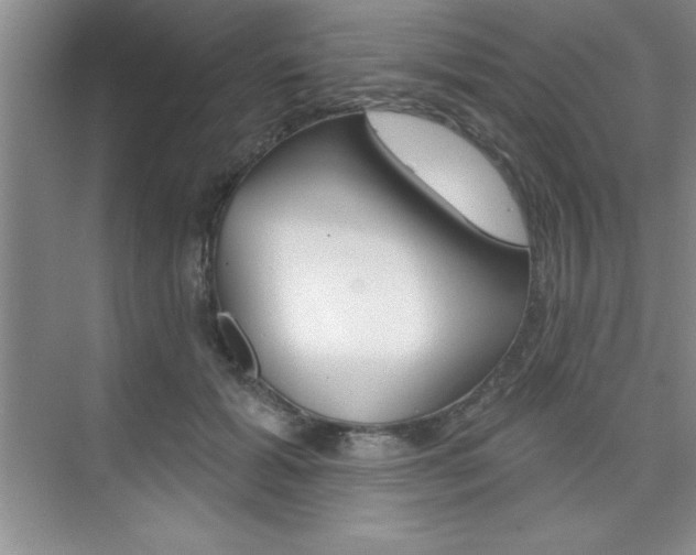 X0000073870605200608101109