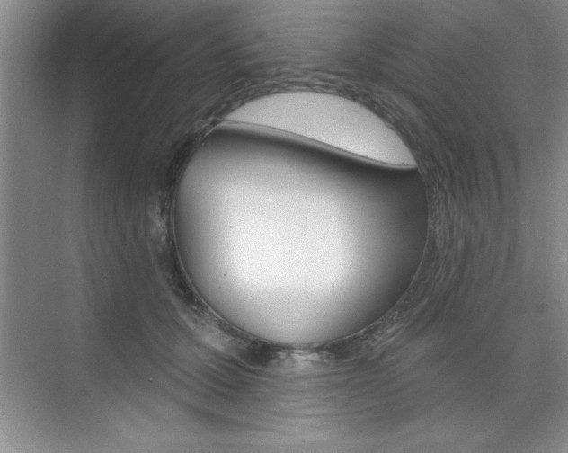 X0000073870607200608101109