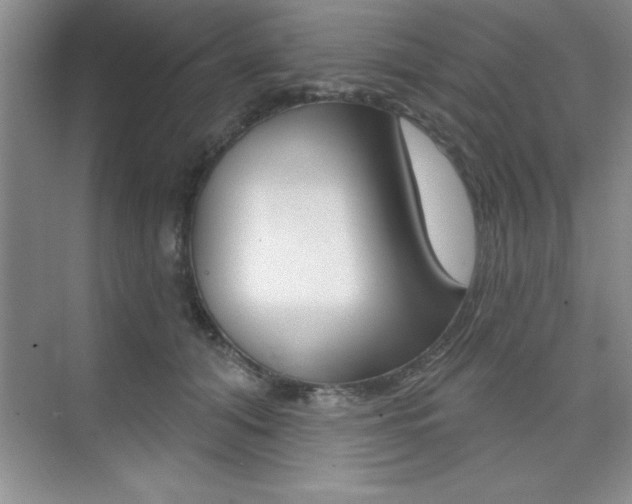 X0000073870608200608101109