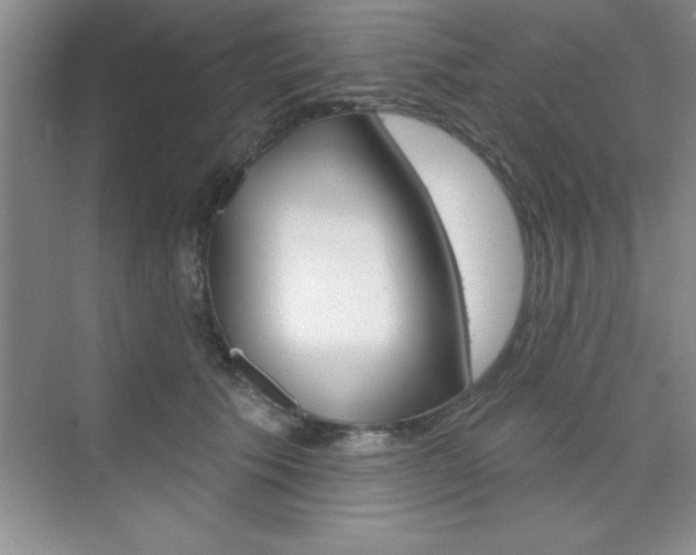 X0000073870609200608101109